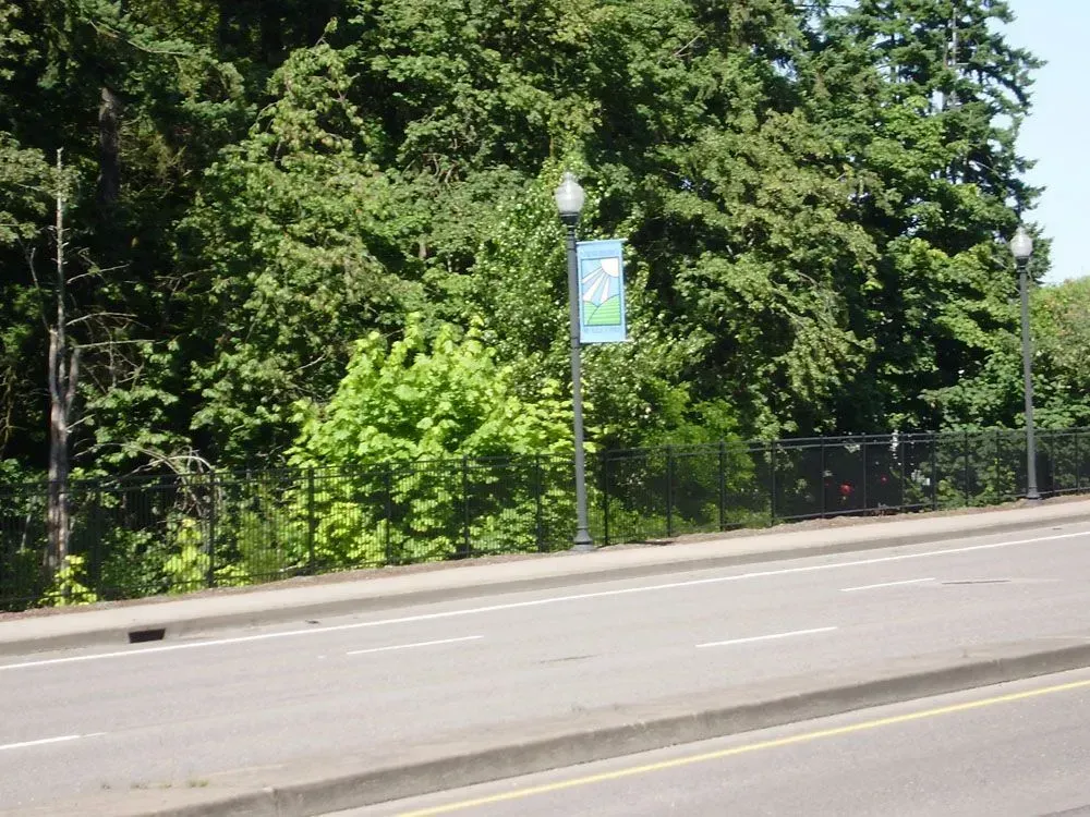 Tree-lined roadside with a green banner sign and a quiet paved street