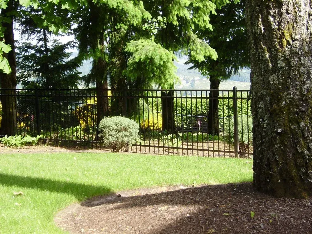 Tree-shaded lawn and garden with black metal fence in the background