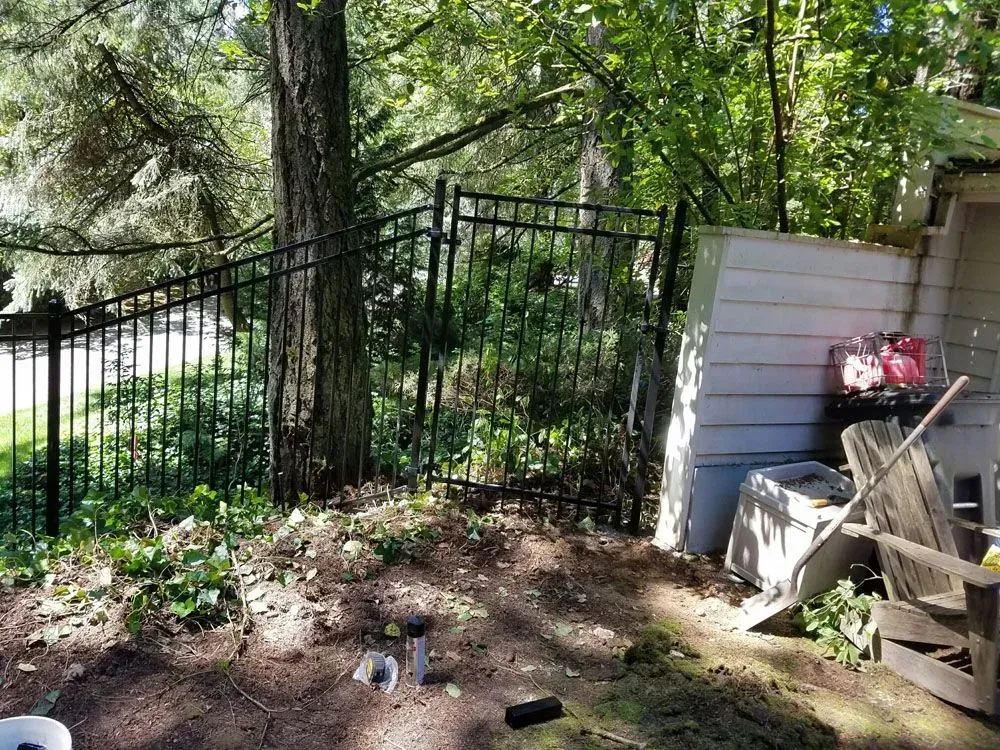 Backyard with black metal fence, trees, and a small patio area beside a shed
