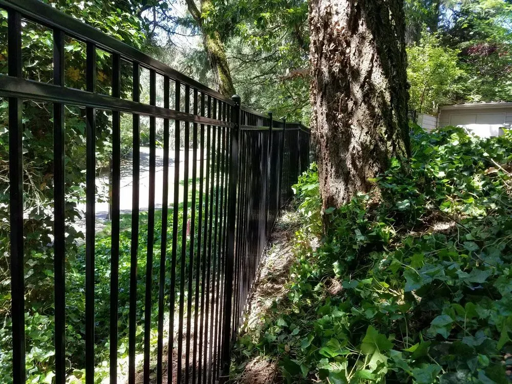 Black metal fence beside a tree-lined sidewalk with dense green shrubs and sunlight.