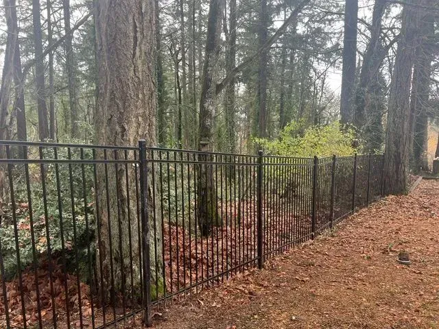 Black metal fence beside a wooded path with tall trees and fallen leaves