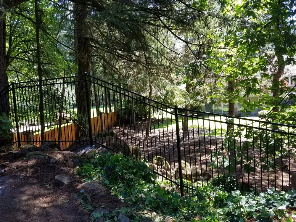Black metal fence along a wooded path beside a sunlit stream