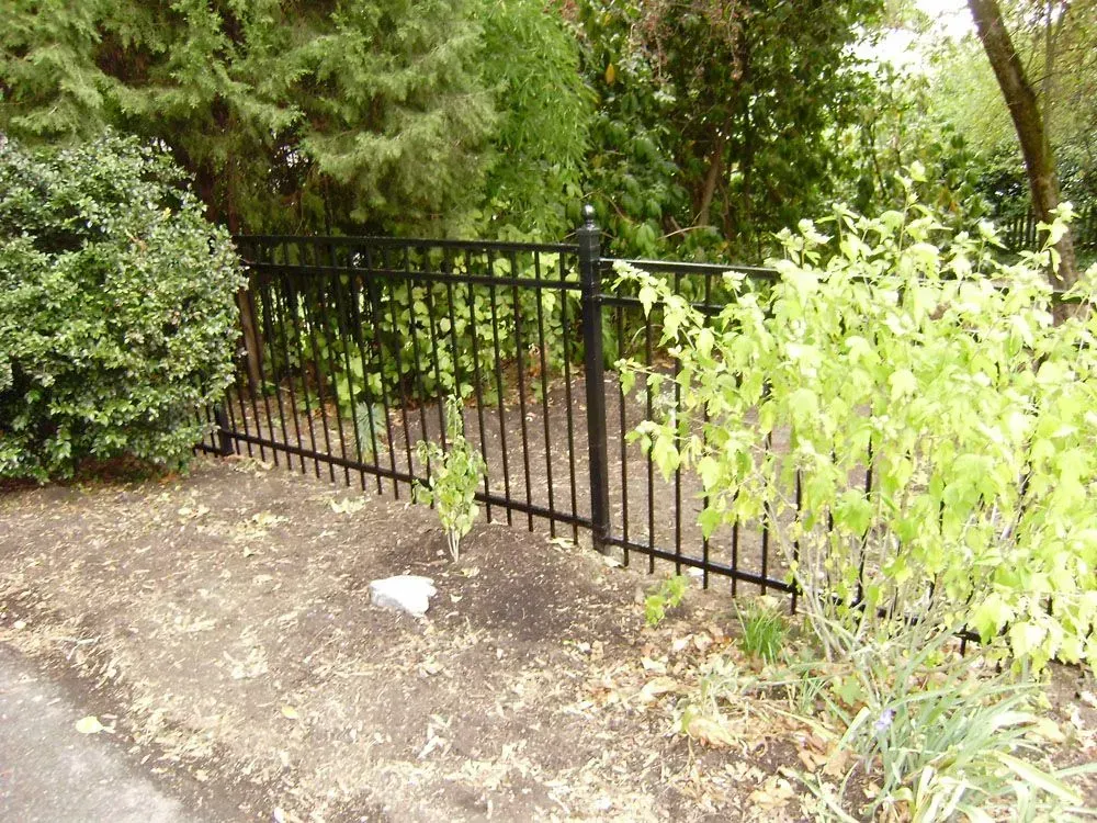Black metal gate in a leafy garden beside a dirt path and shrubs.
