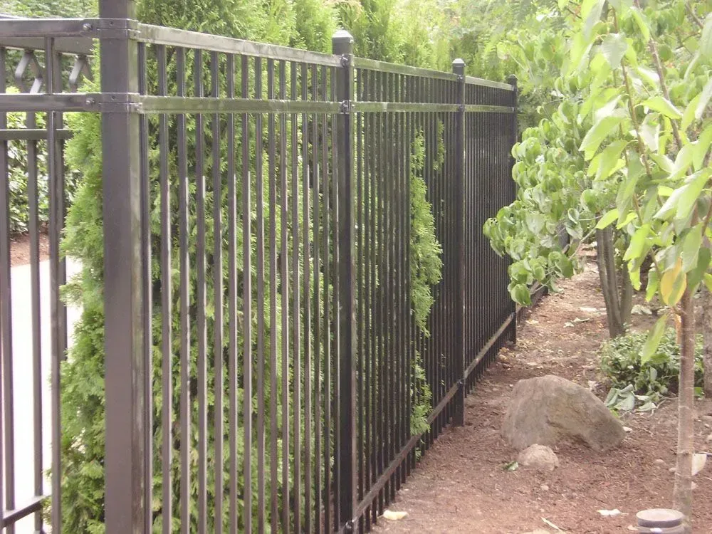 Black metal fence along a garden path beside lush green plants and dirt ground