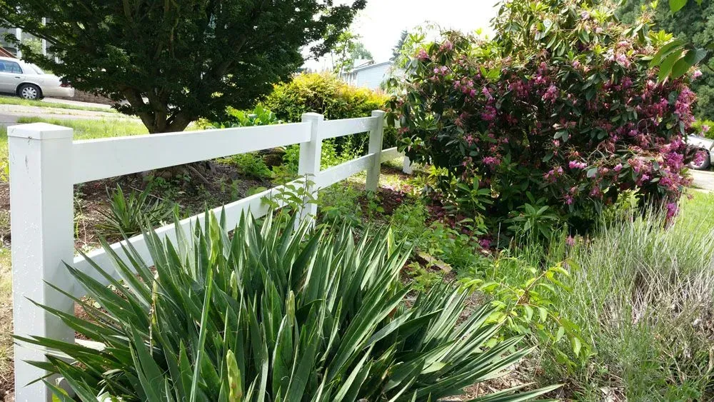 White fence beside lush green plants and a flowering shrub along a sunny roadside