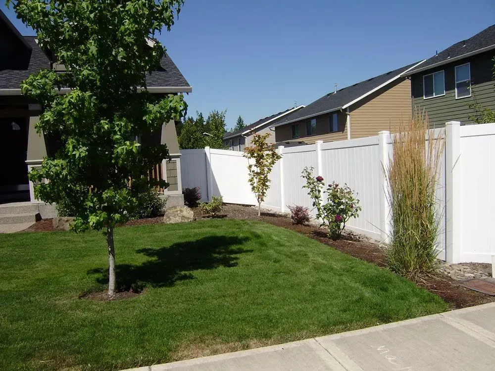 Suburban front yard with green lawn, young tree, white fence, and houses under a clear blue sky
