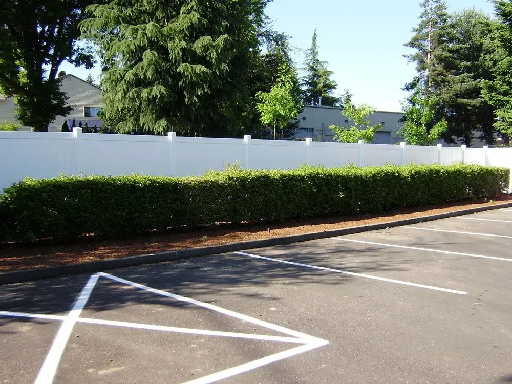 Empty parking lot with white lines, hedges, and a white fence on a sunny day