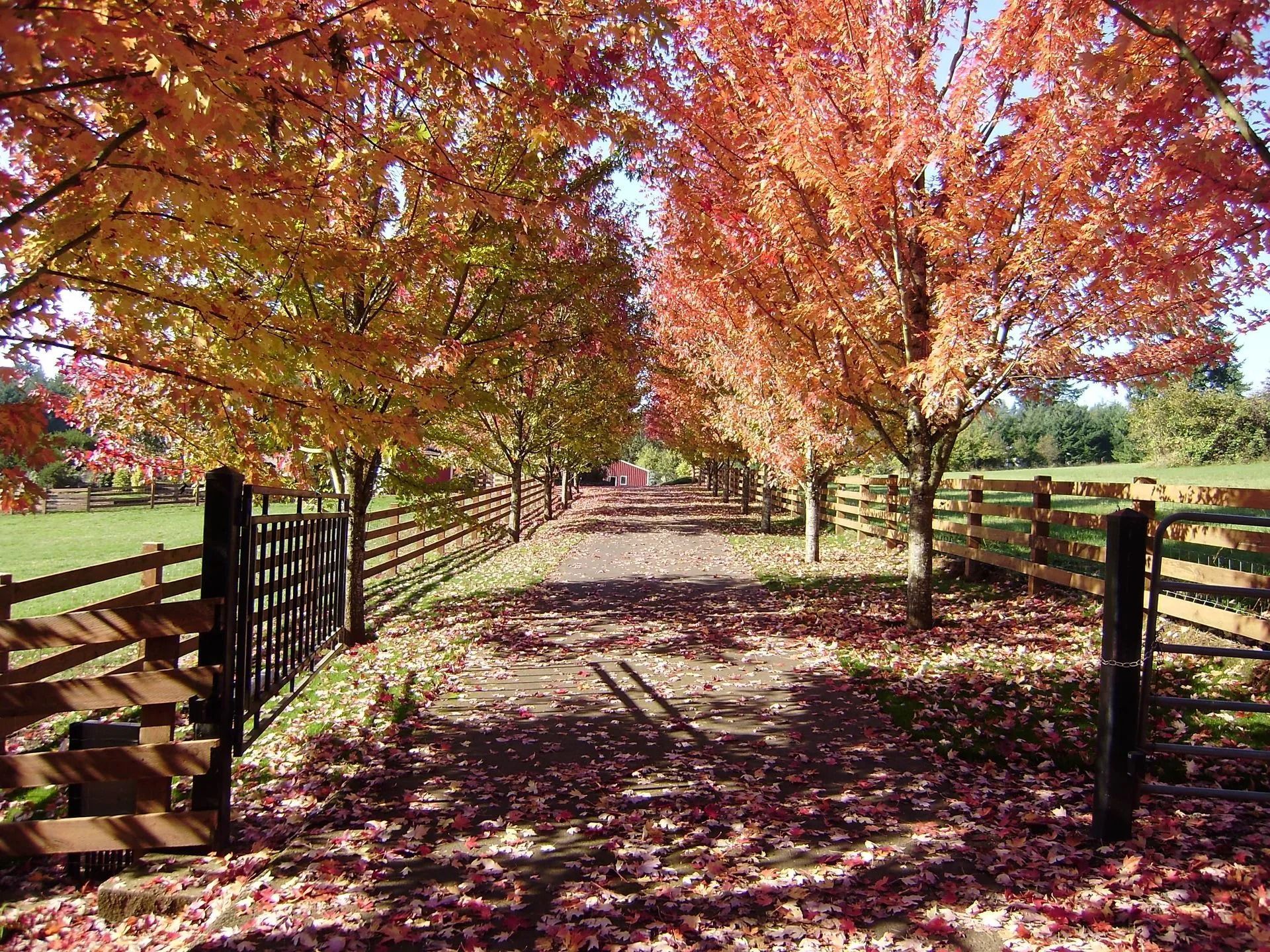 The Fence Company