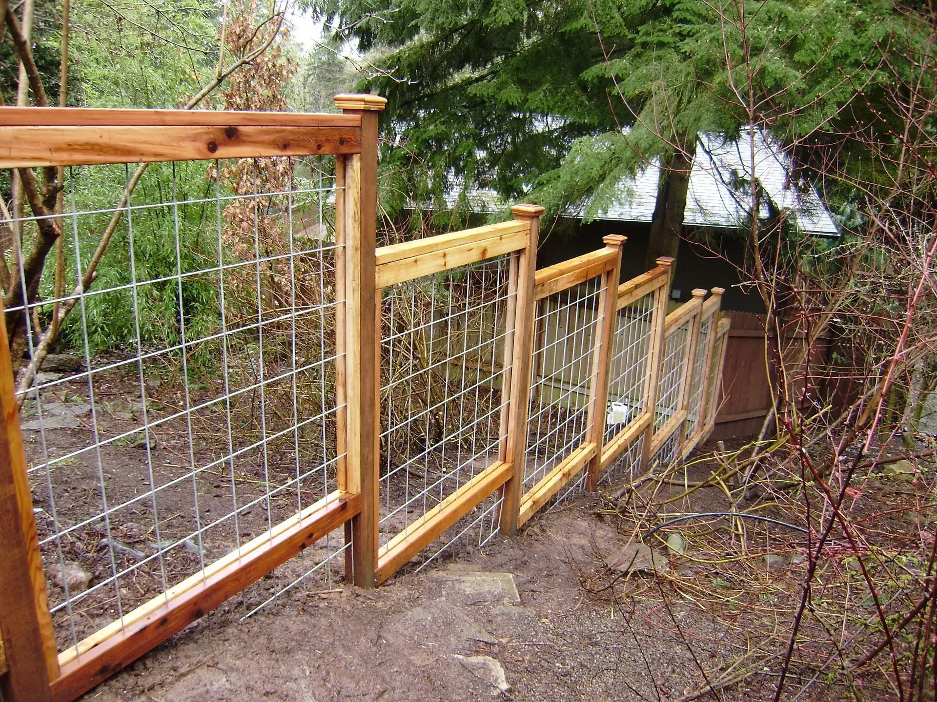 Wooden fence with wire mesh along a garden path beside trees and shrubs