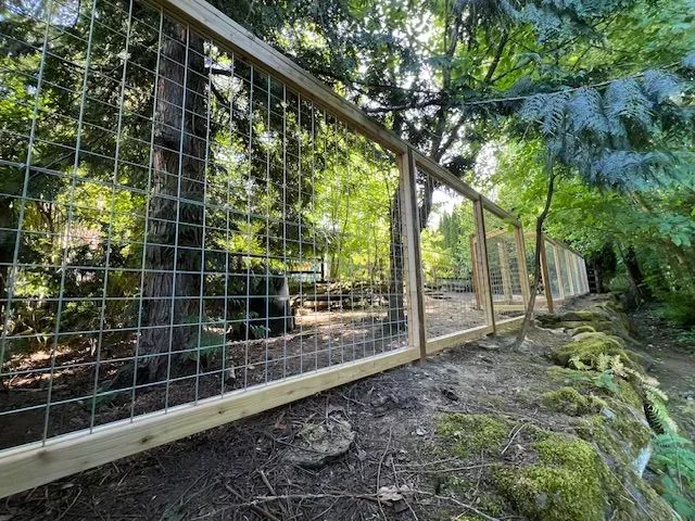 Wire fence along a wooded dirt path with trees and sunlight