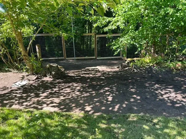 Shaded dirt path leading to a metal gate under dense green trees in a garden.