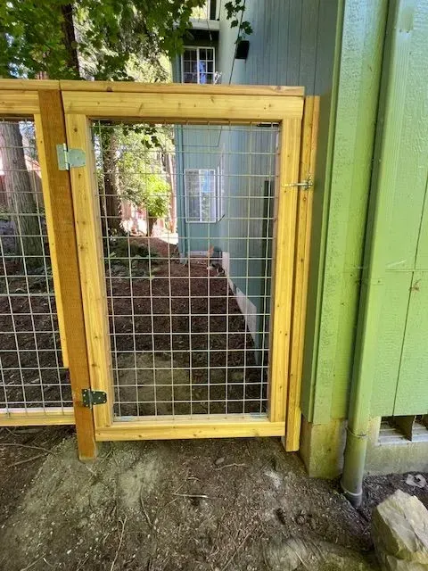 Wooden wire-mesh gate in a green outdoor fence opening to a narrow path and garden area