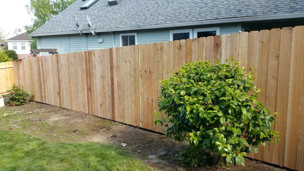Wooden fence along a house yard with a green shrub in the foreground