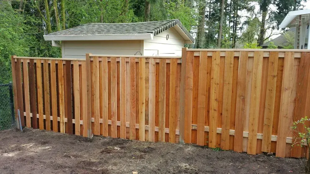 New wooden privacy fence in a yard with a small shed and trees behind it