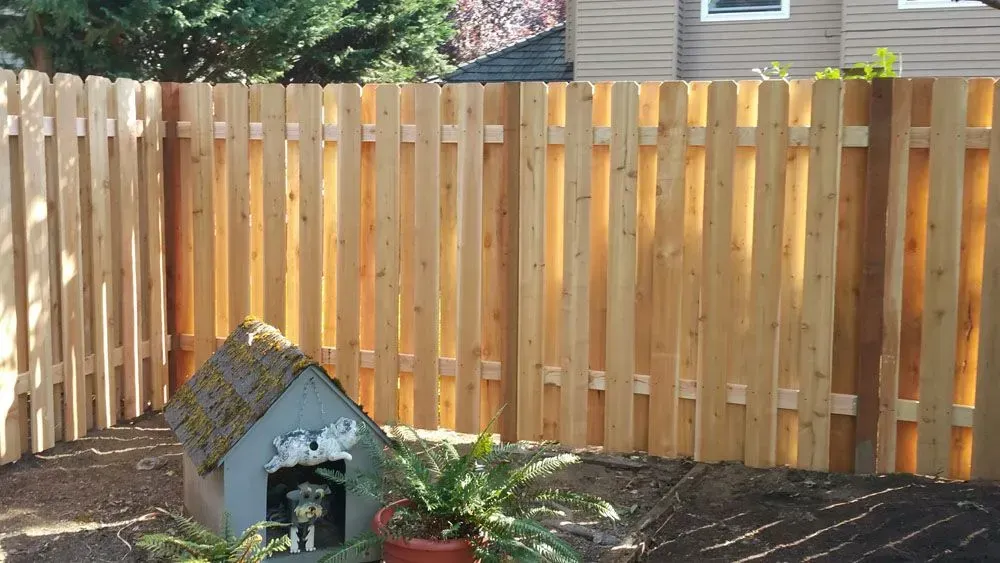 Wooden backyard fence behind a small decorative doghouse and potted plants in sunlight