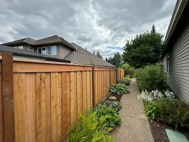 Narrow garden path beside a wooden fence and house, with shrubs and cloudy sky overhead.