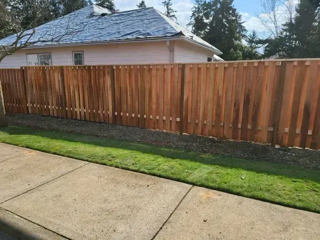 Wooden privacy fence beside a green lawn and concrete sidewalk in a suburban yard