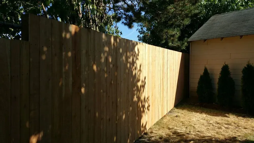 Wooden fence beside a house, with sunlight and tree shadows in a dry backyard.