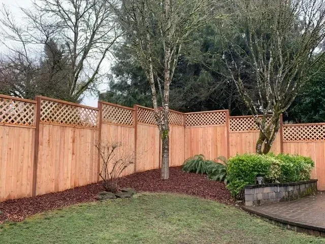 Backyard corner with wooden fence, leafless trees, mulch bed, and green shrubs beside a patio