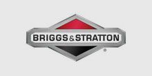 Briggs and Stratton