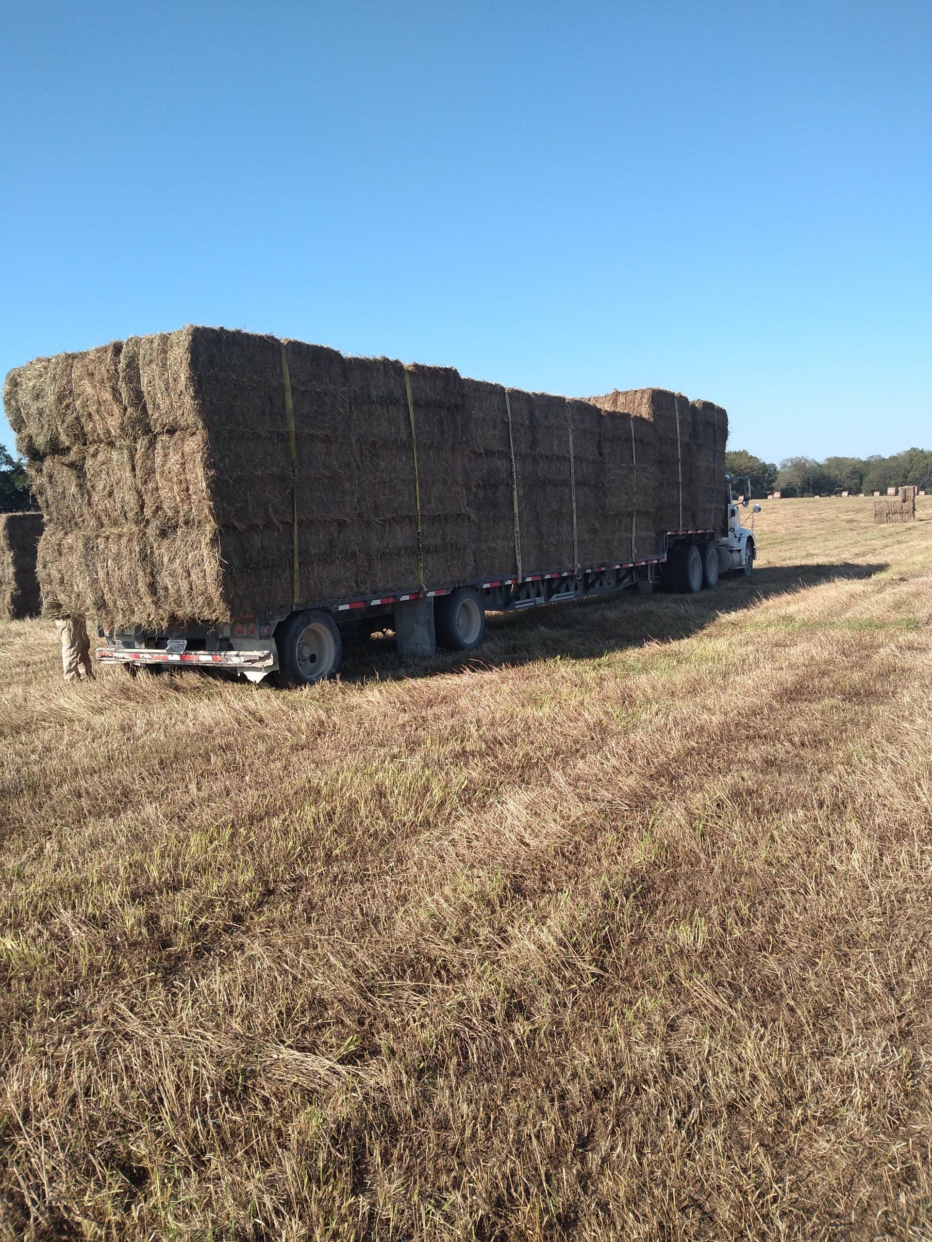 Spencer Farms LLC photo gallery