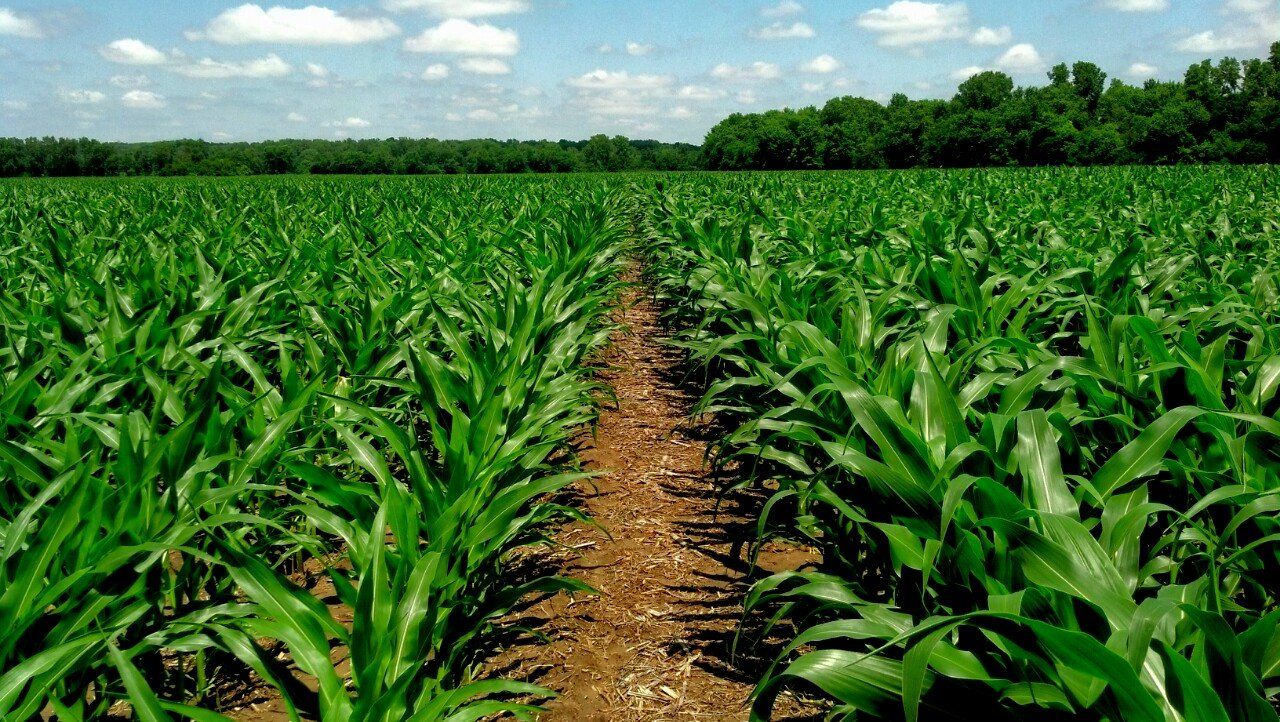 Spencer Farms LLC photo gallery