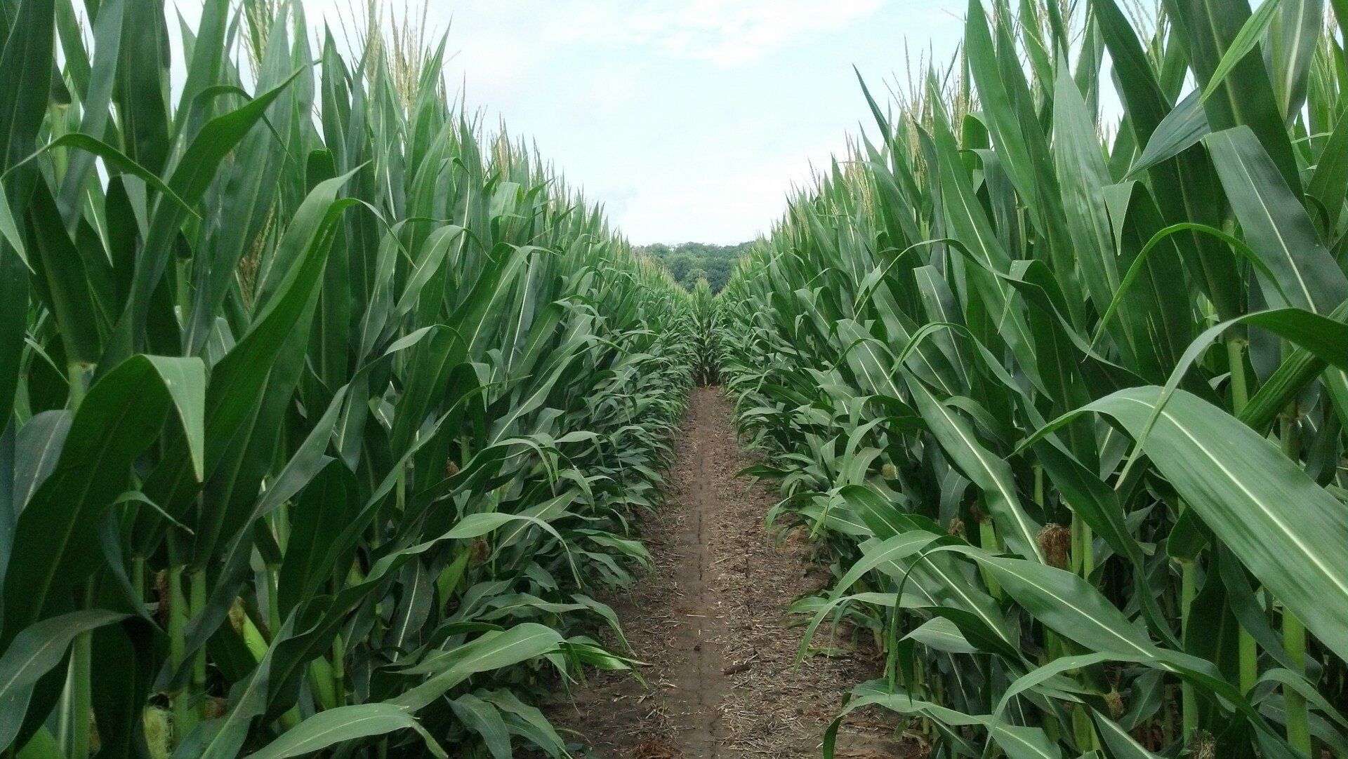 Spencer Farms LLC photo gallery