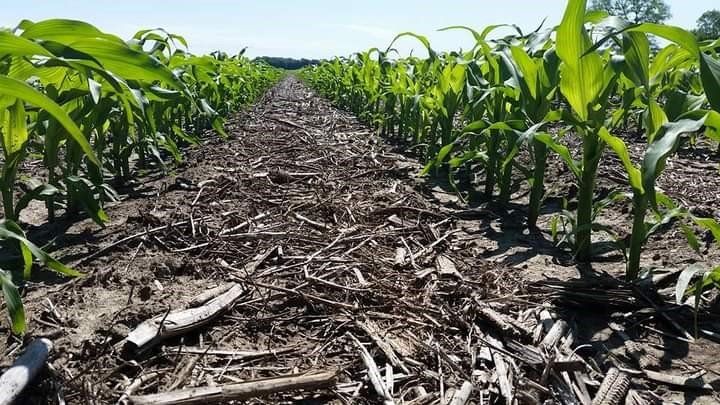 Spencer Farms LLC photo gallery