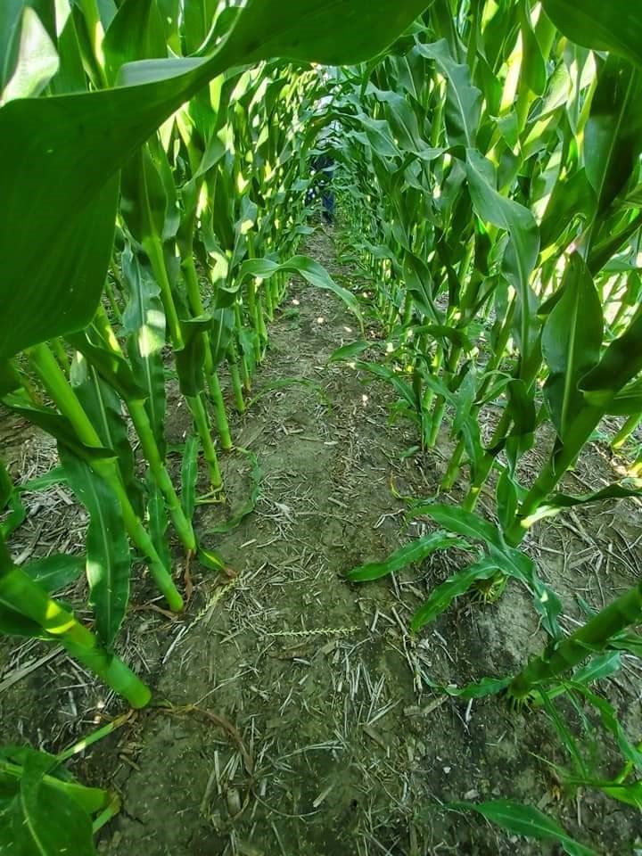 Spencer Farms LLC photo gallery