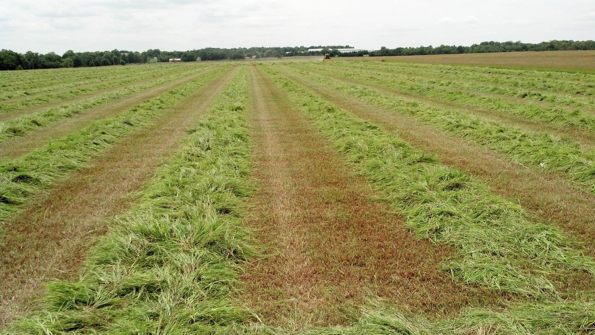 Spencer Farms LLC photo gallery