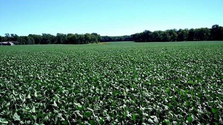 Spencer Farms LLC photo gallery