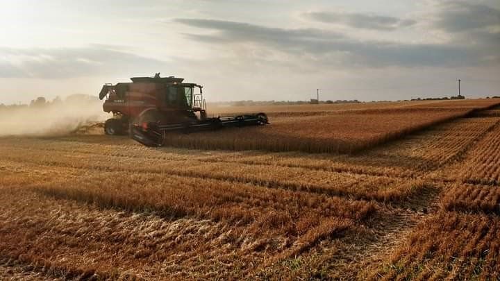 Spencer Farms LLC photo gallery