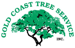 Gold Coast Tree Service - Logo