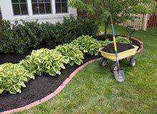 Mulching bed around the house and bushes