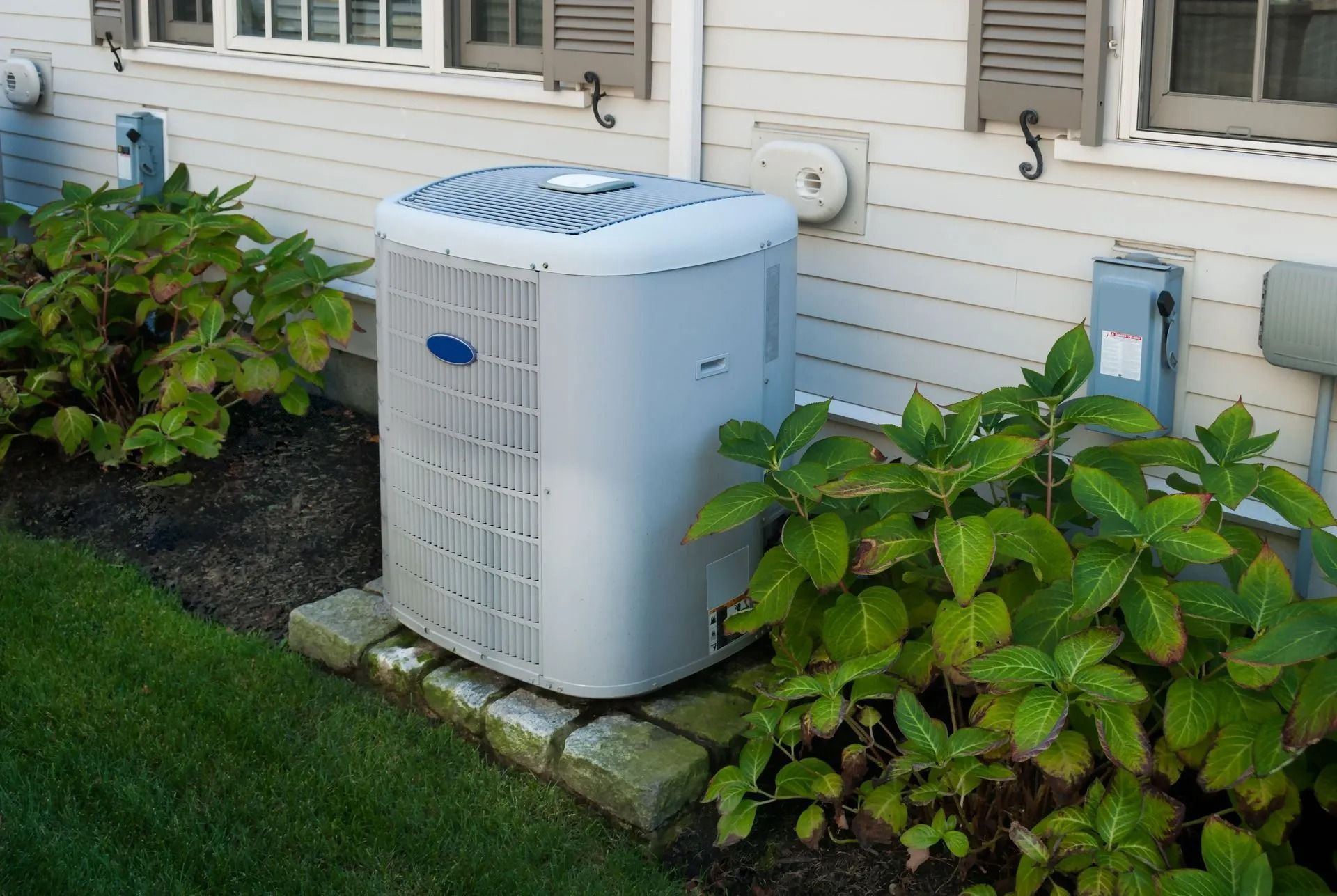 Air conditioning unit next to a house, surrounded by plants.