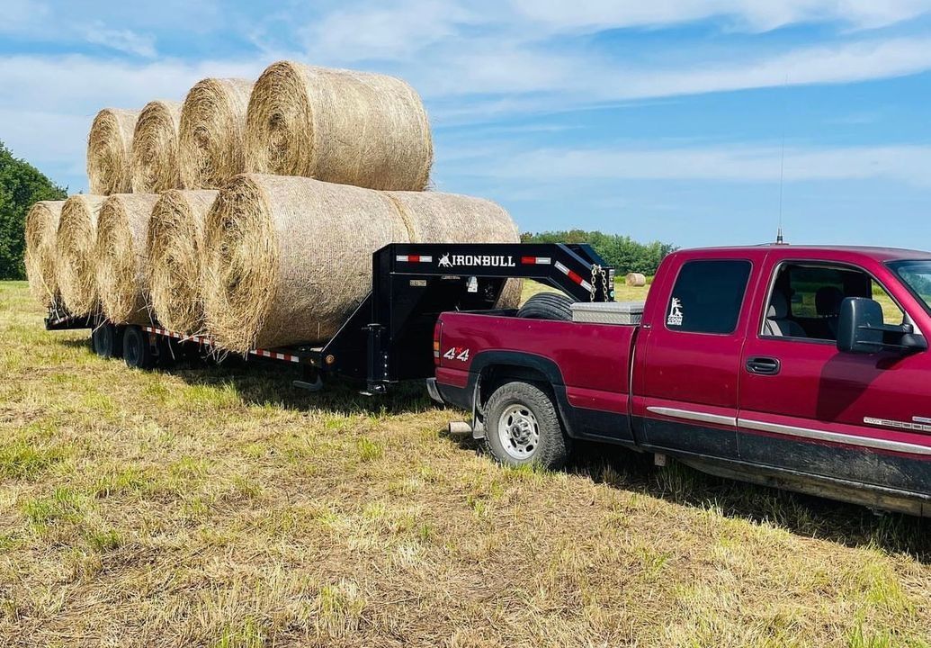 Red pickup truck pulling a trailer loaded with round hay bales in a field under a blue sky.