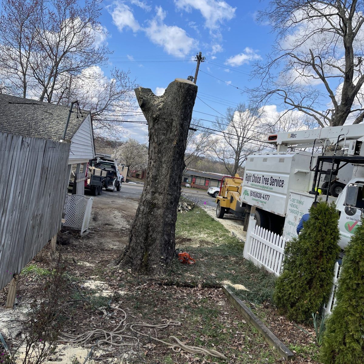 Yard with a large tree stump, utility truck, and workers clearing branches under a cloudy sky