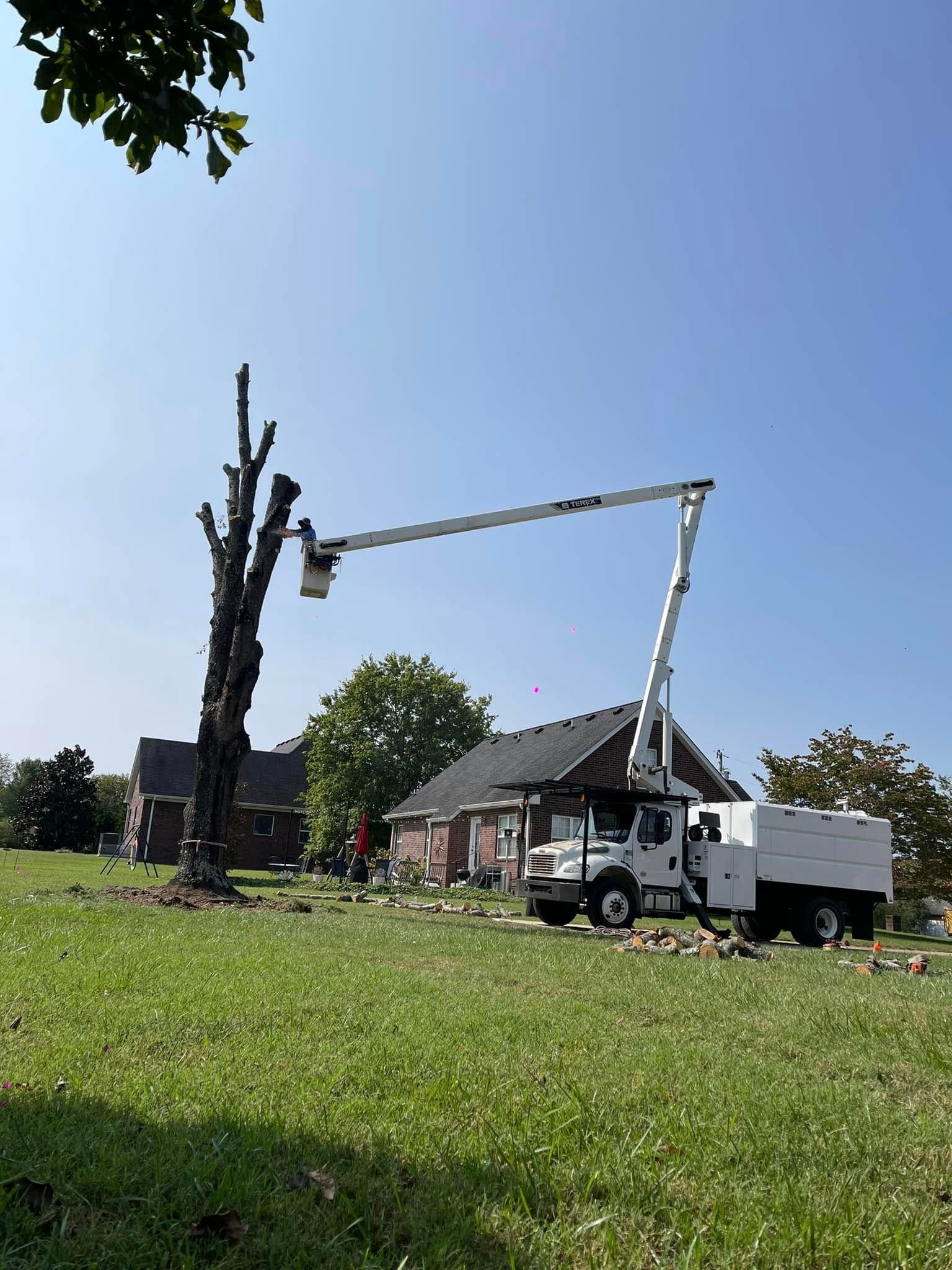 Tree removal truck cutting a large dead tree in a grassy yard beside a house under a clear blue sky
