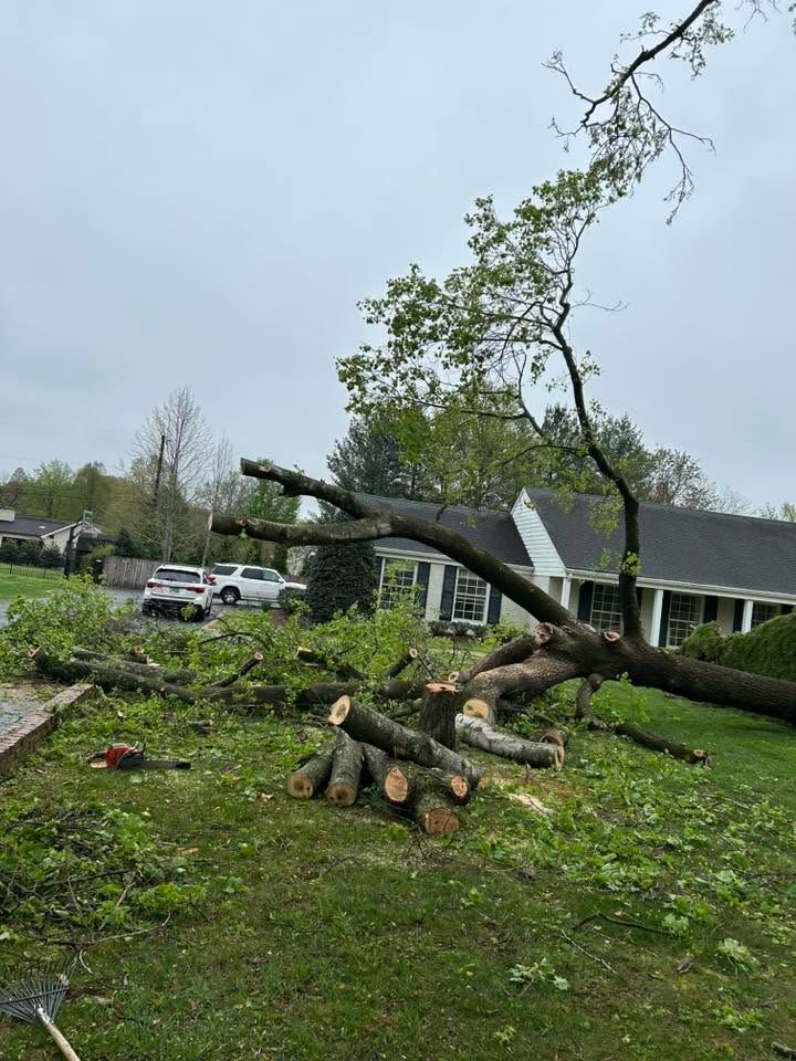 Tree split and fallen in a yard near a house, with branches and debris on the grass after a storm.
