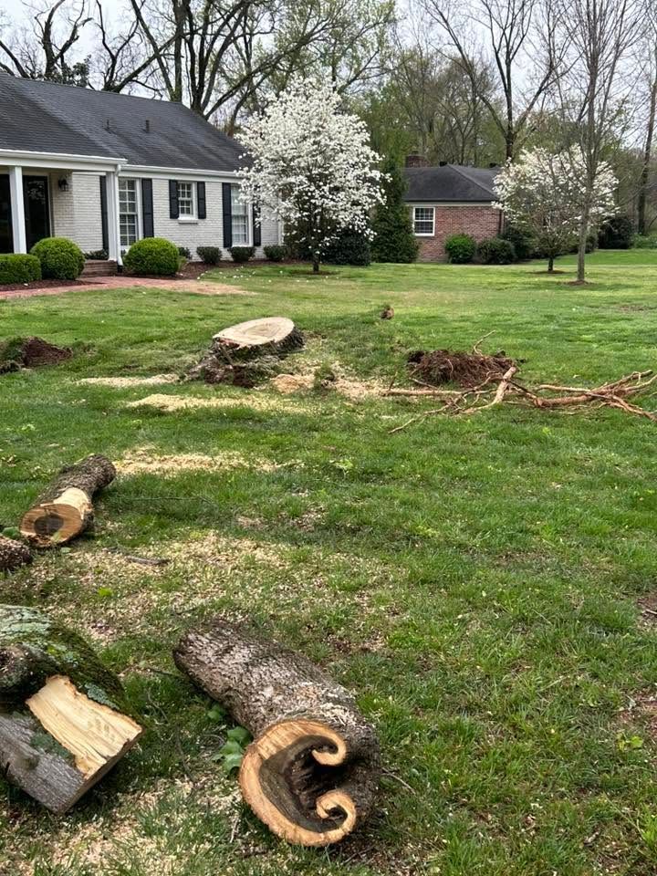 Tree limbs and logs scattered across a yard near a house, with one large stump in the center.