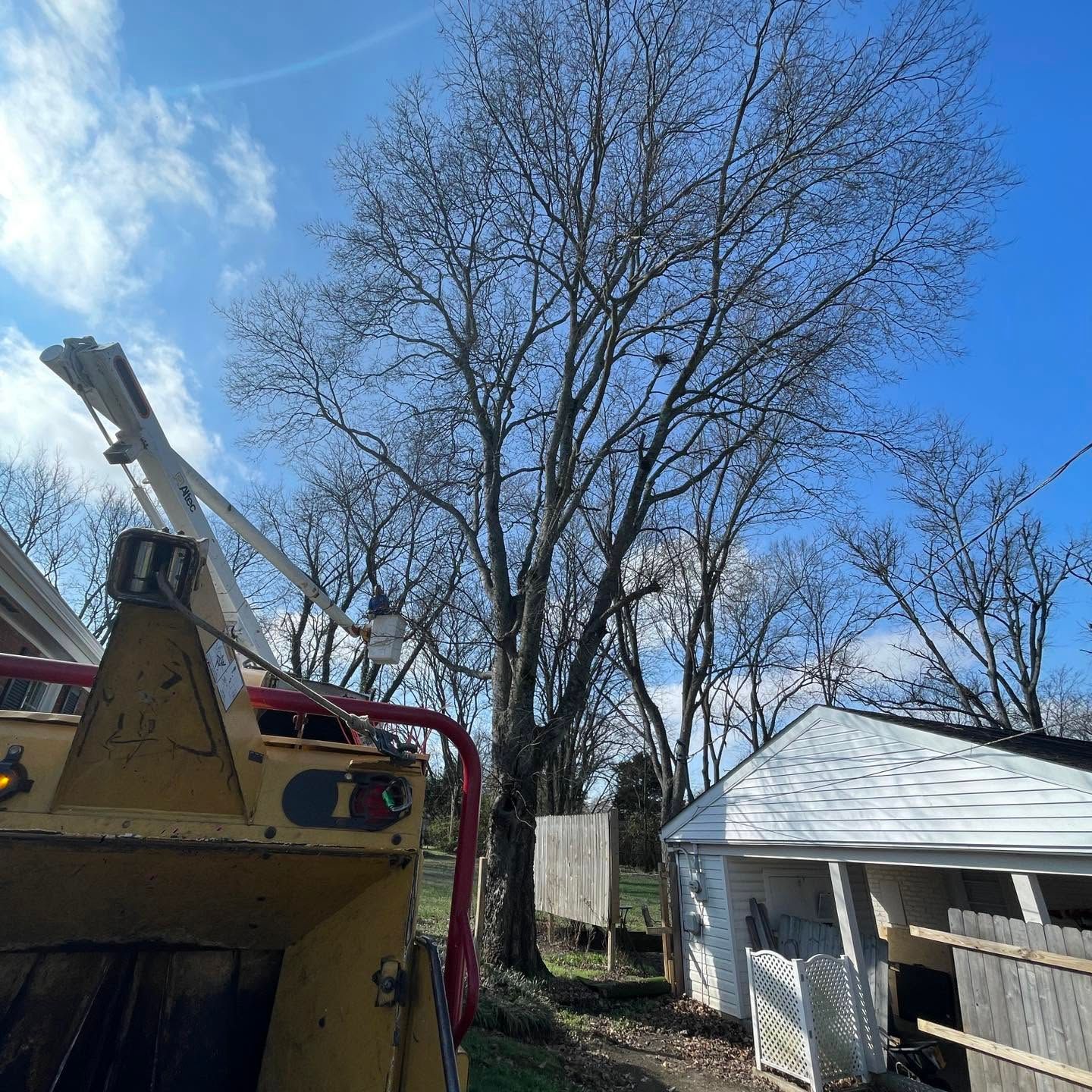 Yellow backhoe beside a white shed and leafless trees under a bright blue sky