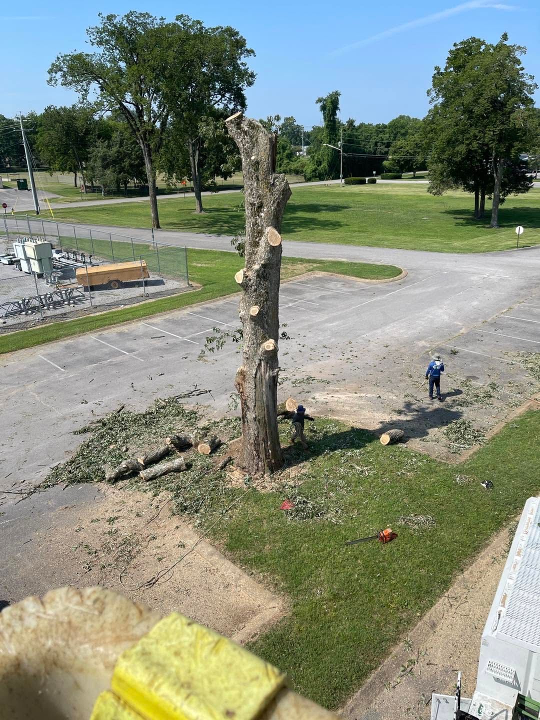 Recently cut tree stump beside a dirt road in a grassy park with scattered equipment and trees