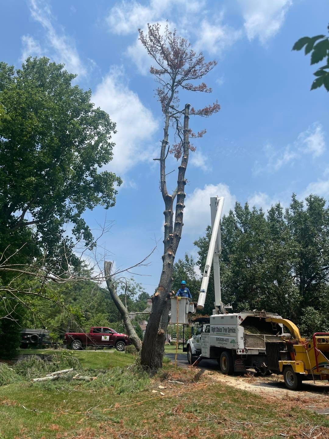 Tree removal crew using a crane and wood chipper beside a tall dead tree in a yard