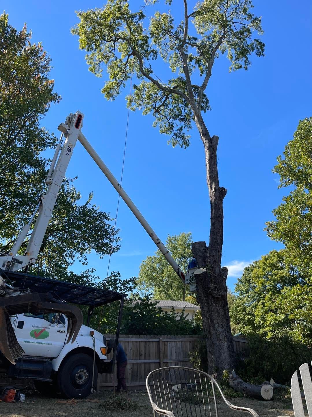 Bucket truck trimming a tall tree beside a house under a bright blue sky
