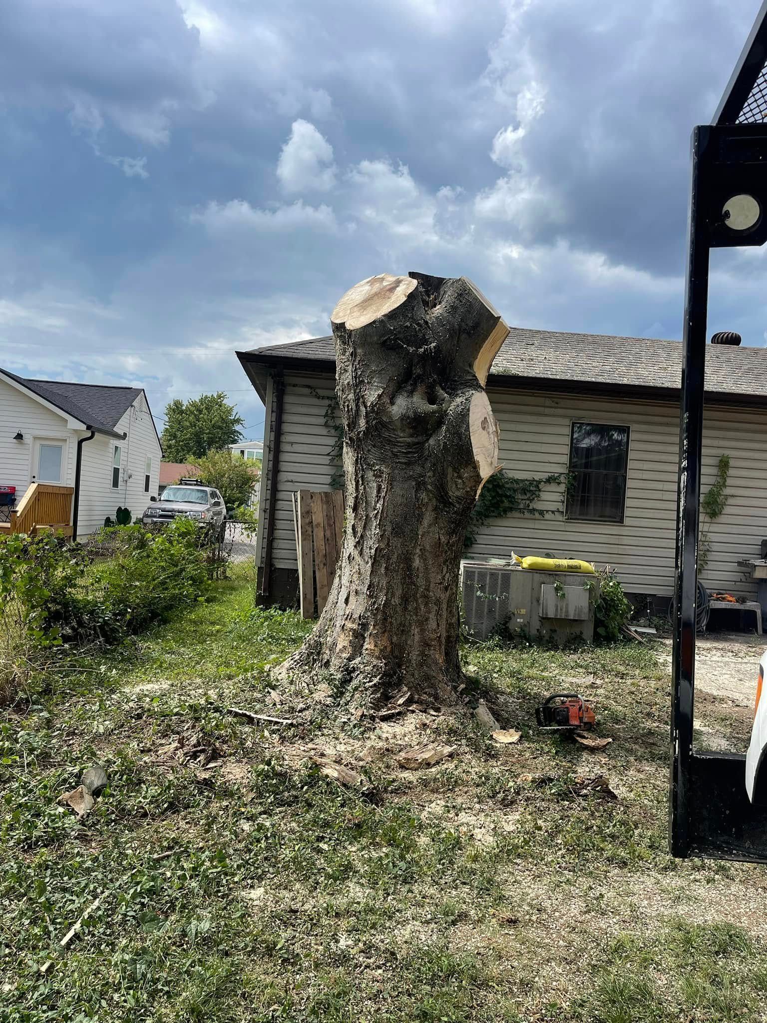 A large tree stump in a yard beside a house under a cloudy sky.