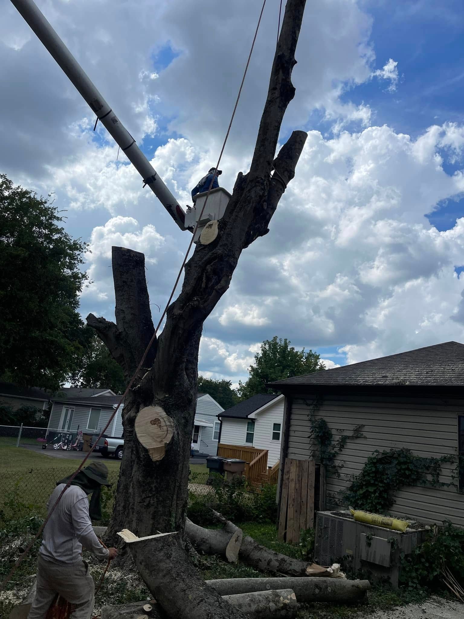 Tree being cut down with a chainsaw beside a house, branches and trunk piled on the ground under a cloudy sky.