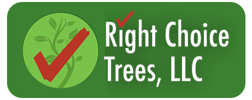Right Choice Trees, LLC - logo