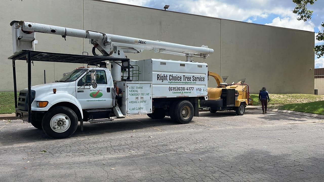 Right Choice Trees, LLC