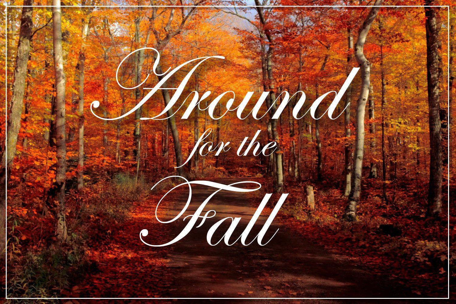Autumn forest path with white script reading “Around for the Fall”