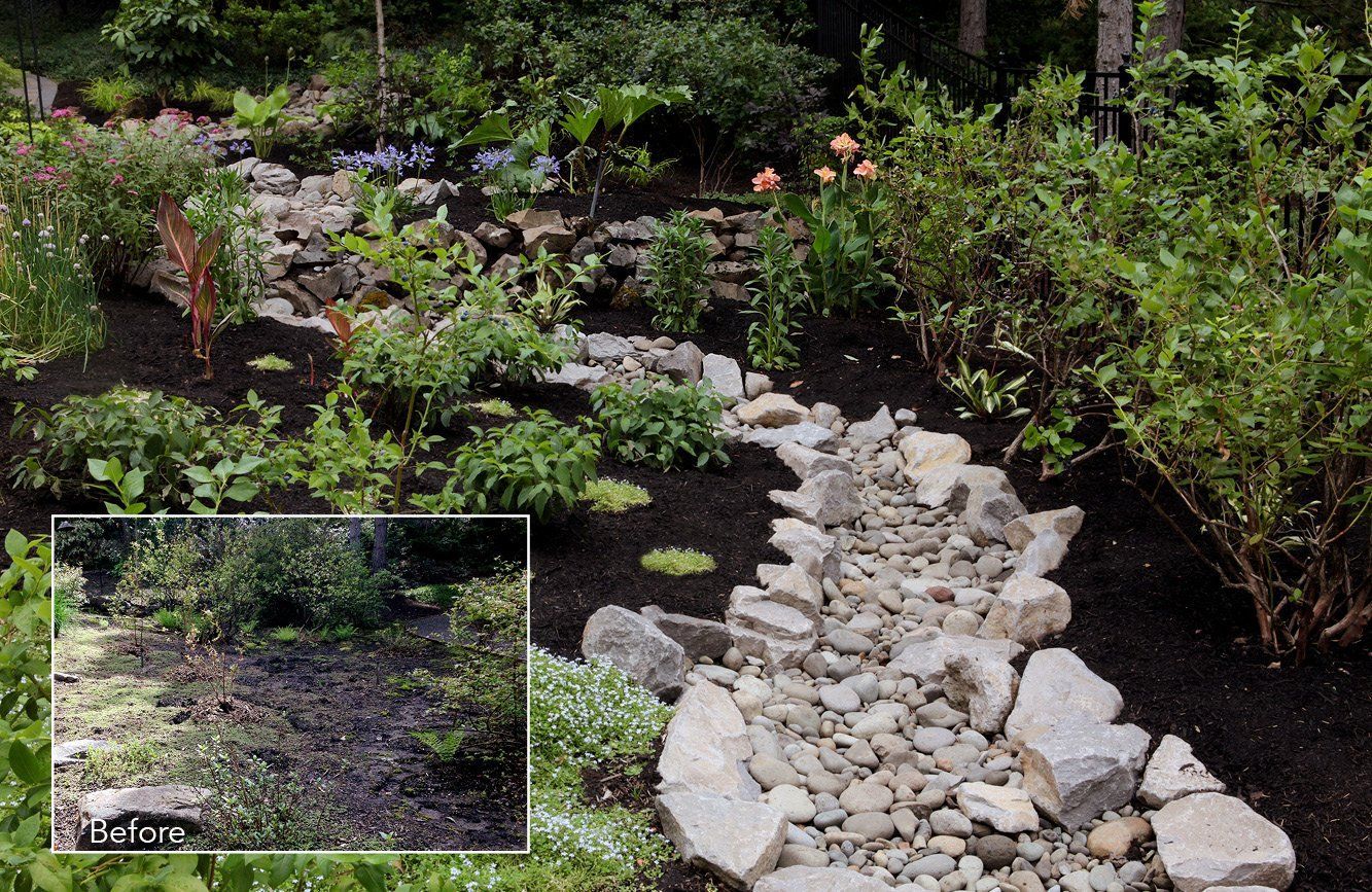 Rock garden path of white stones winding through green shrubs and dark mulch